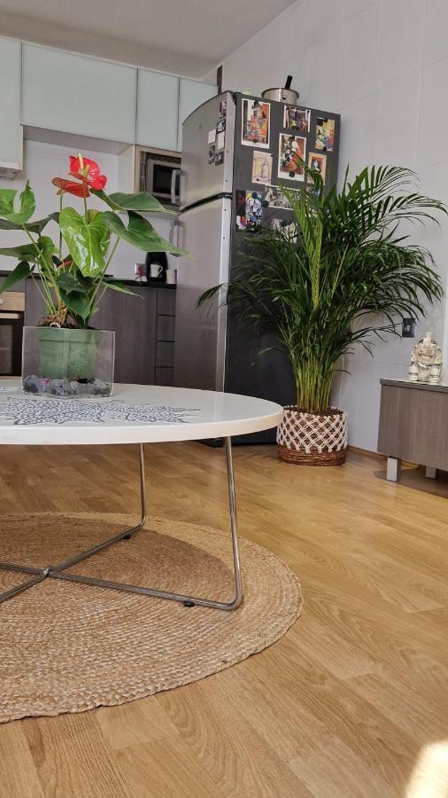 Apartamento Bernier Málaga Dış mekan fotoğraf